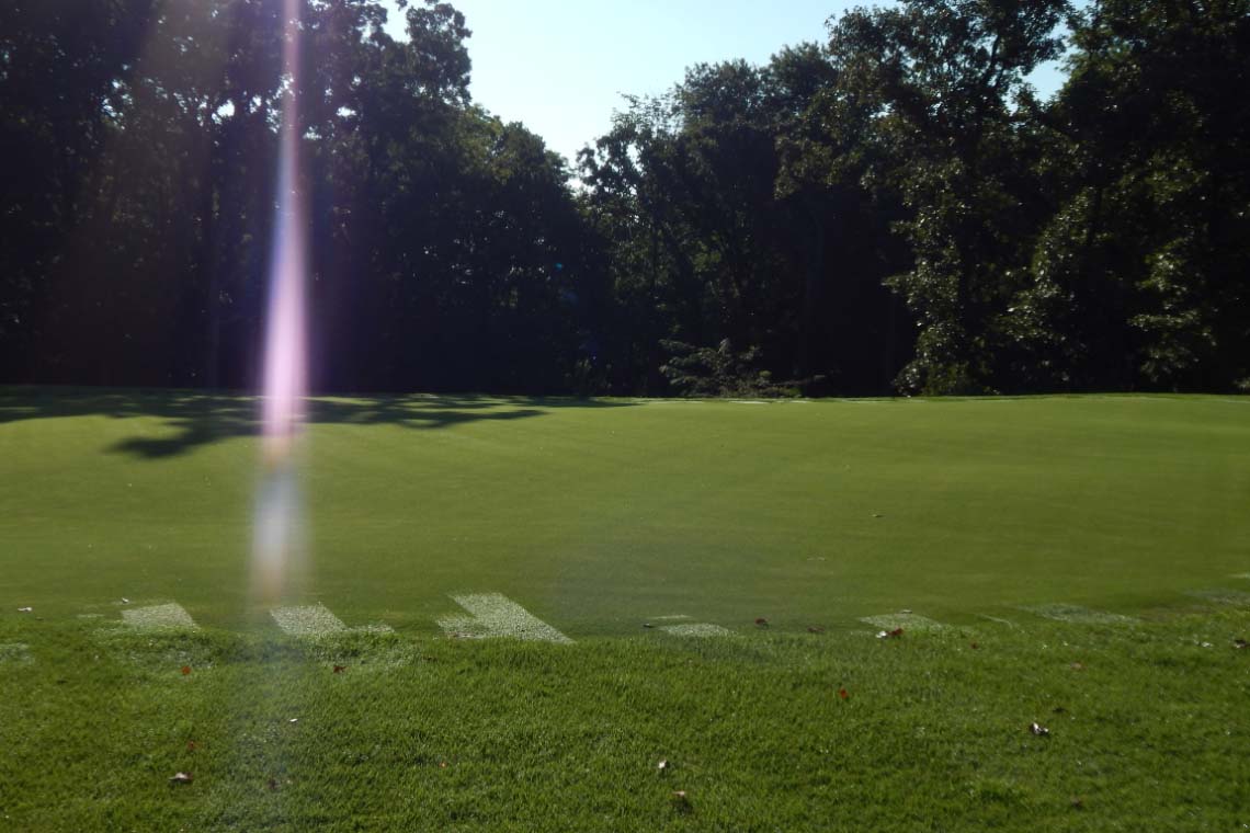Golf course green on sunny day