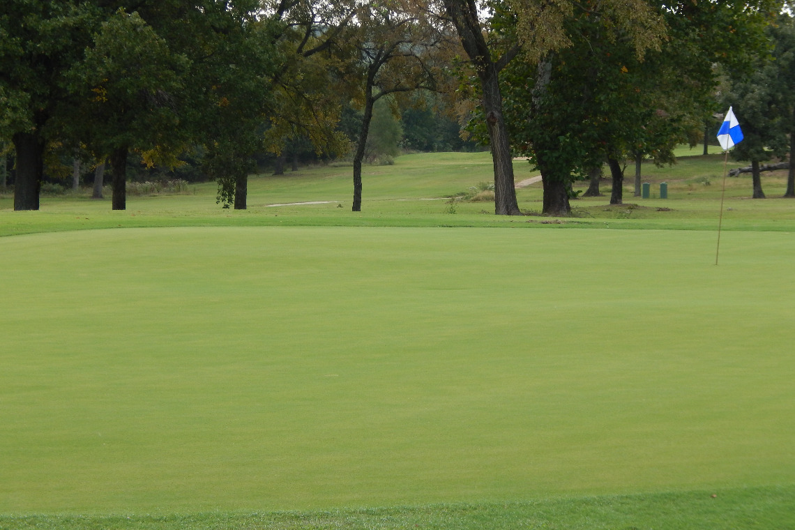 Golf course green with trees
