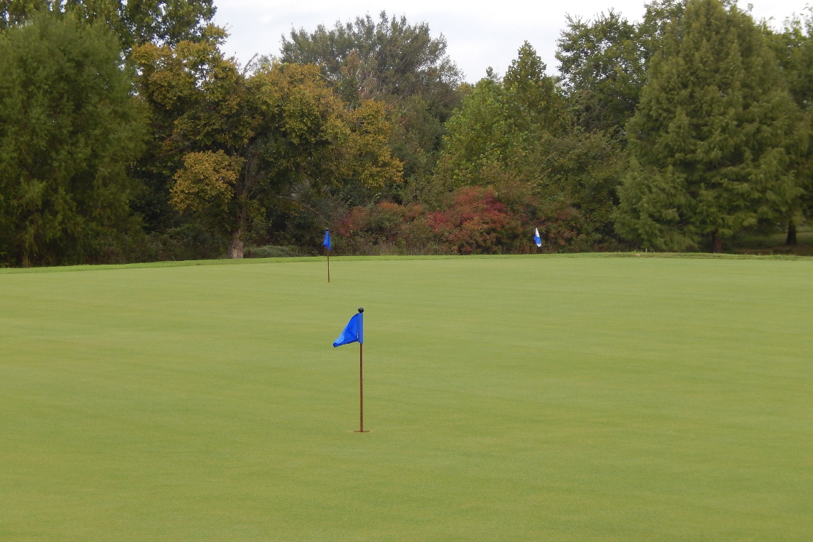Blue flag on golf course